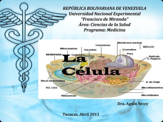 la celula