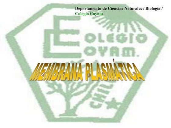 Membrana plasmatica
