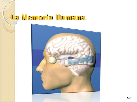 Memoria Humana