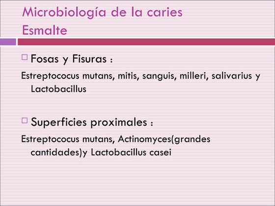 Microorganismos De La Caries Dental