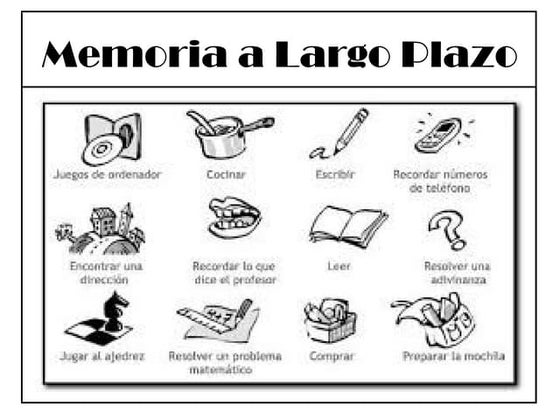 Memoria Largo Plazo