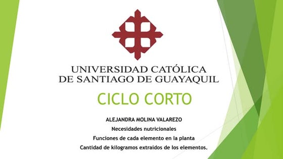 Alejandra Molina Valarezo 