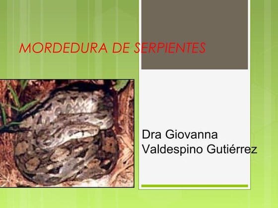 Mordedura de serpientes 