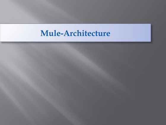 Mule architecture