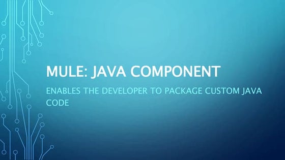 Mule: Java Component