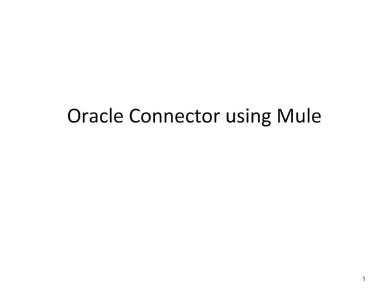 Mule oracle connectors