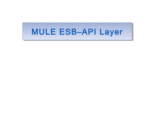 Mule esb api layer