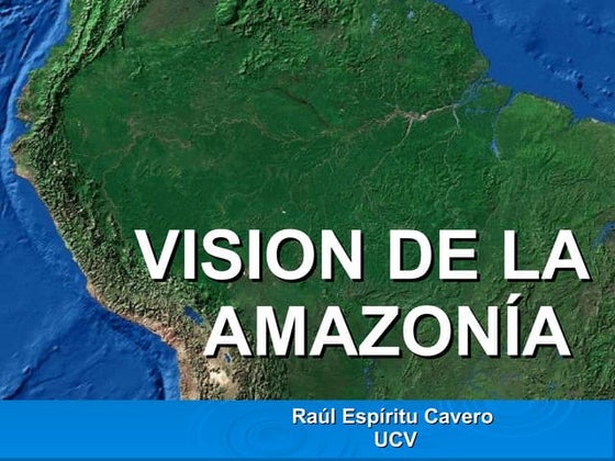 No 1.  visión de la amazonia