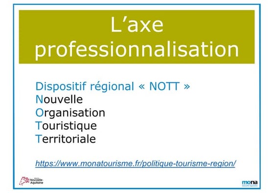 #NOTT19 - Axe Professionnalisation - MONA Fabien Raimbaud
