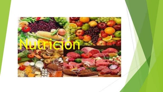 Nutricion