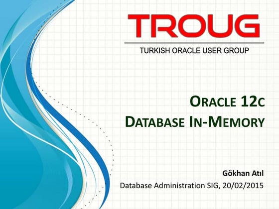 Oracle 12c Database In Memory DBA SIG