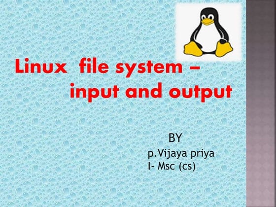 Operating System
