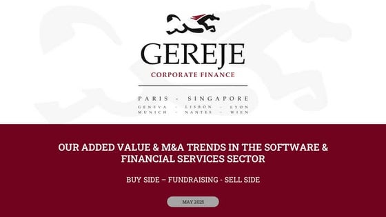 Our added value in Software & financial services sector 0525.pdf