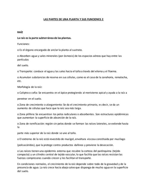 Partes de una planta 