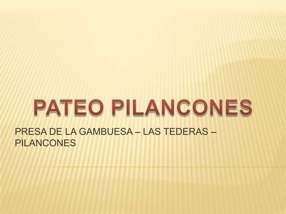 Pateo pilancones