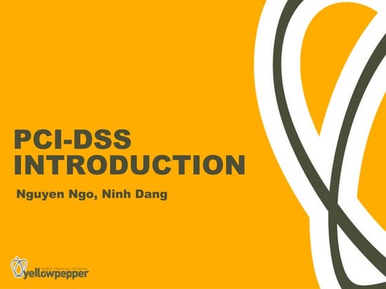 PCI DSS