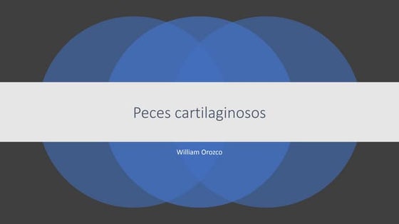 Peces cartilaginosos