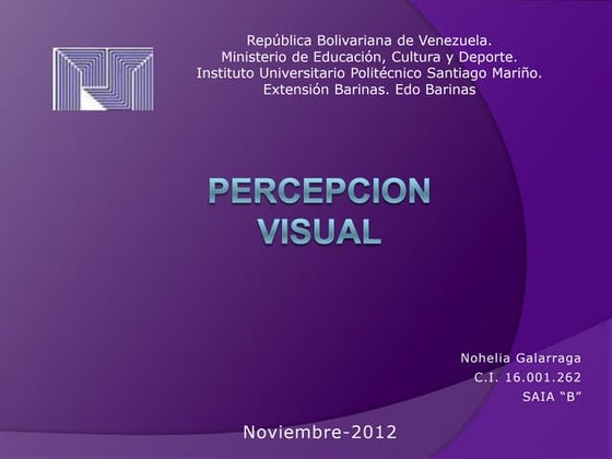 Percepcion visual