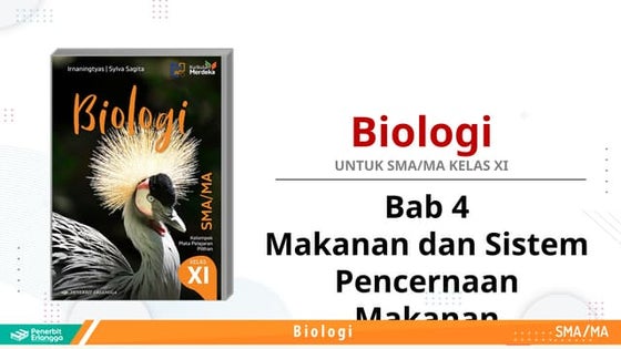 PPT Bab 4 Biologi Kelas XI Kur-Merdeka.pptx