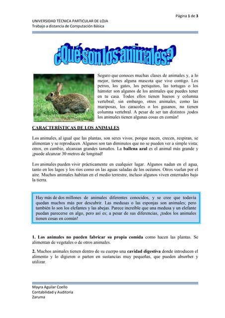 LOS ANIMALES