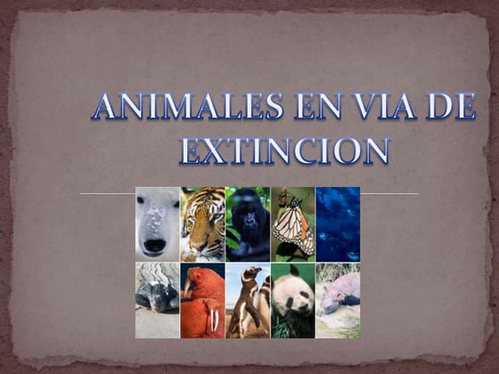 animales en via de extincion