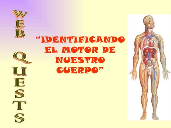Presentación1