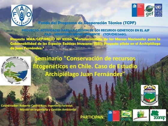 Presentación rcr