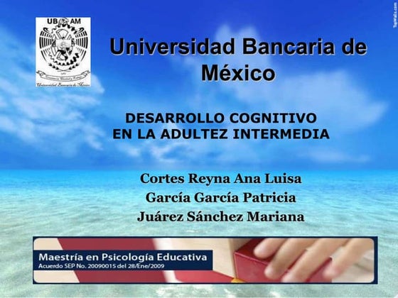 desarrollo cognoscitivo en la adultez media