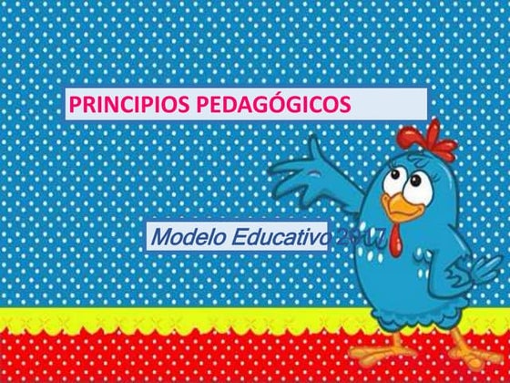 Principios pedagogicos modelo 2017