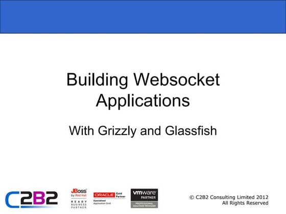 Programming WebSockets with Glassfish and Grizzly