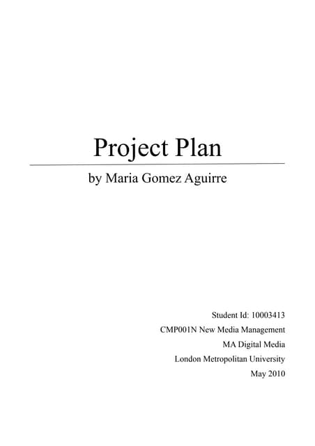 New Media Management - Project plan