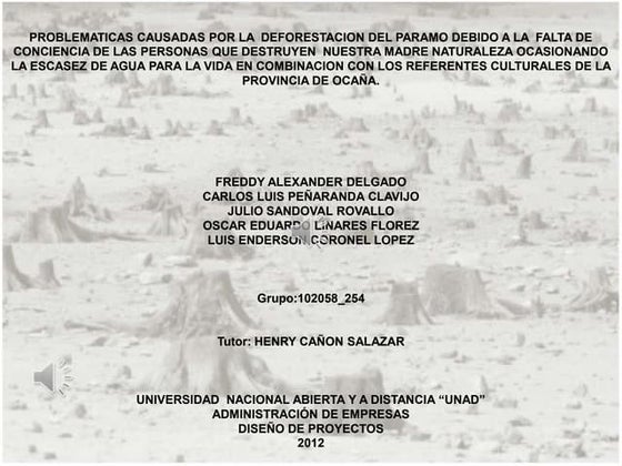 Proyecto de deforestacion
