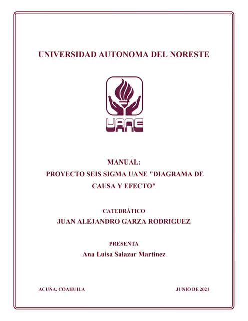 Proyecto seis sigma uane diagrama de causa y efecto 