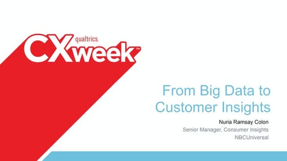 From Big Data to Customer Insights