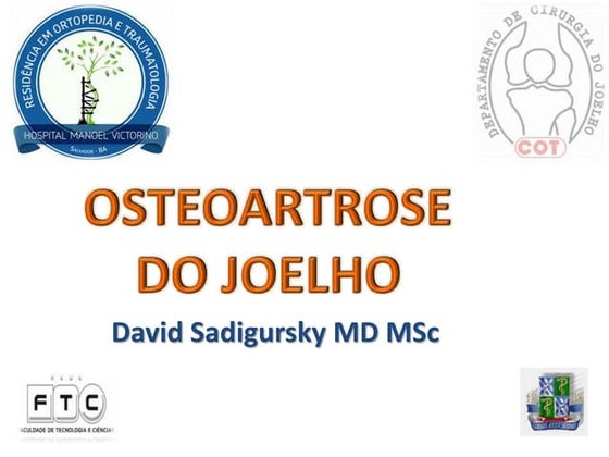 Aula Tratamento da Osteoartrose do Joelho - Dr David Sadigursky