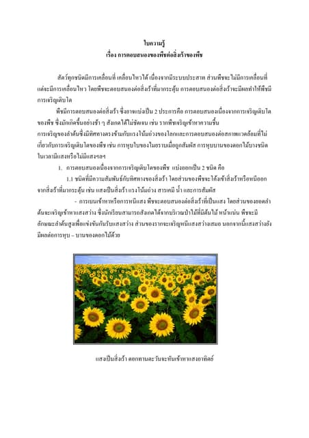 การตอบสนองต่อสิ่งเร้าของพืช