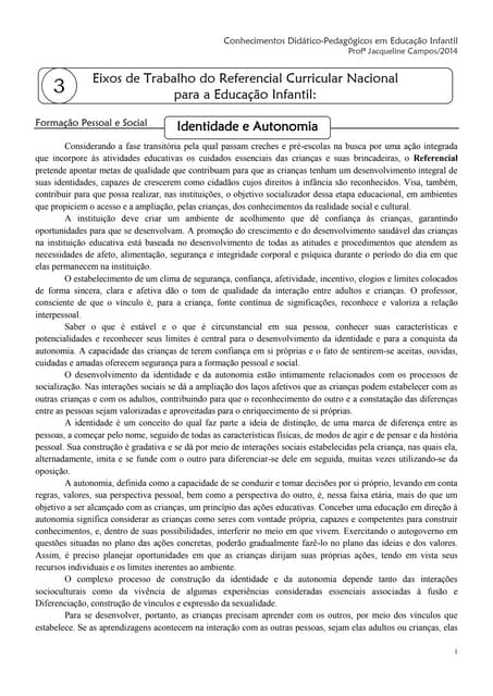 RCNEI resumo eixos 2014