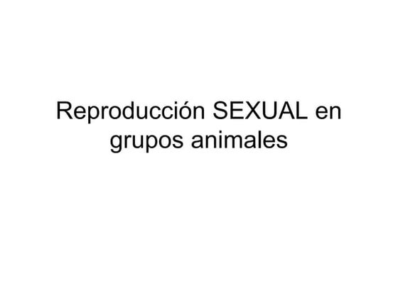Reproduccion sexual en animales