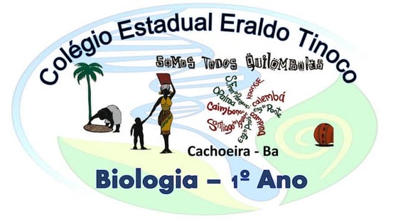 Revisão prova 1º ano