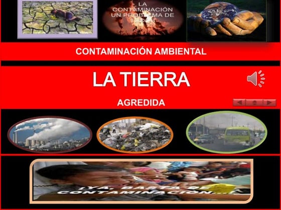 Revista