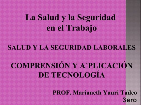 Seguridad laboral