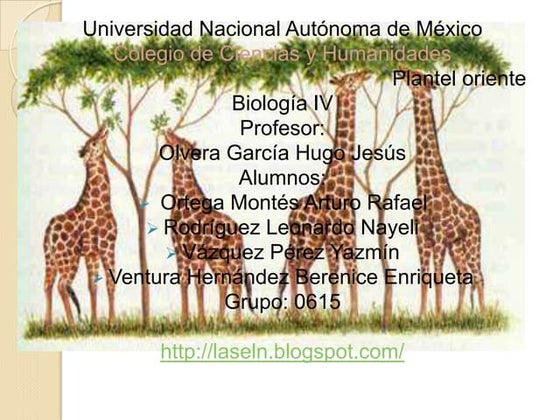 Selección natural