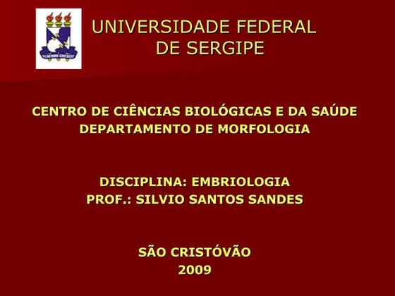 Slides do Sistema Urogenital