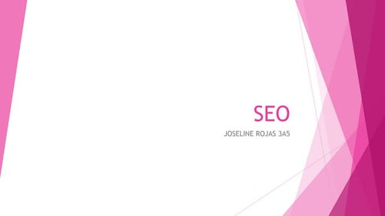 Seo joseline rojas