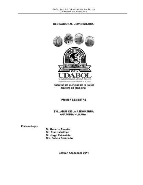 Silabus udabol