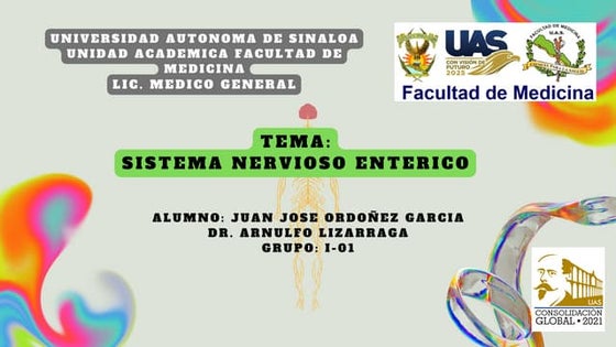 Sistema Nervioso Entérico.pdf