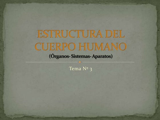 Sistemas del cuerpo humano