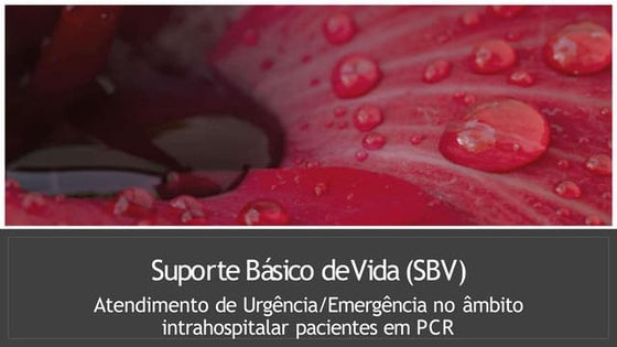 slide-sbv.pptx