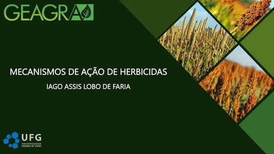 Mecanismos de ação de herbicidas