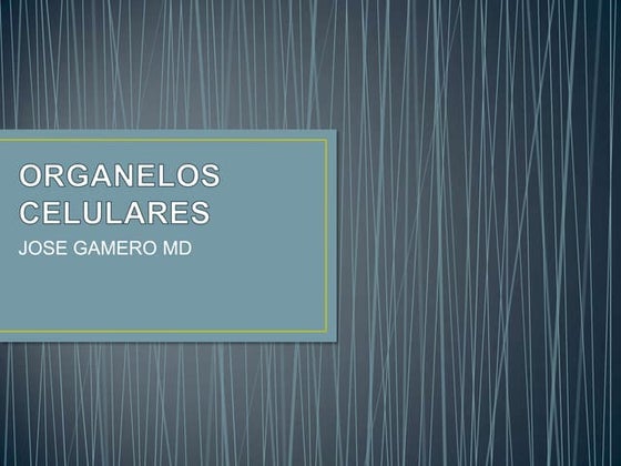 ORGANELOS CELULARES